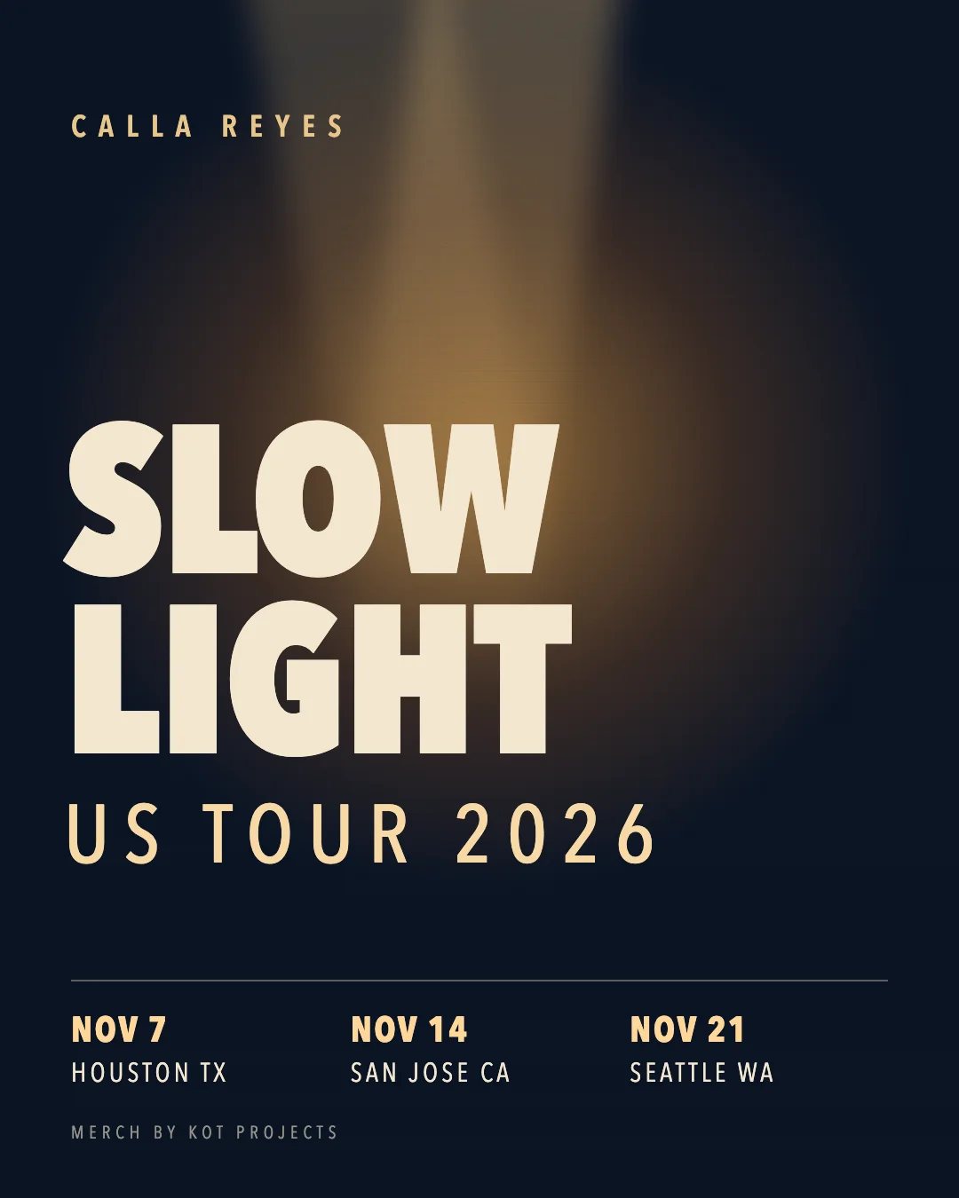 SLOW LIGHT merch